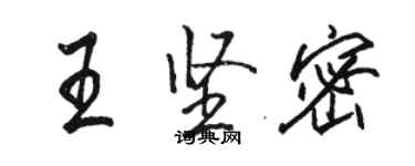 駱恆光王堅密行書個性簽名怎么寫