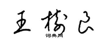 梁錦英王樹良草書個性簽名怎么寫