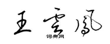 梁錦英王雲鳳草書個性簽名怎么寫