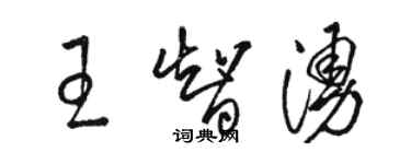 駱恆光王智涌草書個性簽名怎么寫