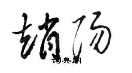 駱恆光趙陽草書個性簽名怎么寫