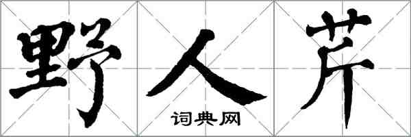 翁闓運野人芹楷書怎么寫