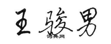 駱恆光王駿男行書個性簽名怎么寫