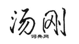 駱恆光湯剛行書個性簽名怎么寫
