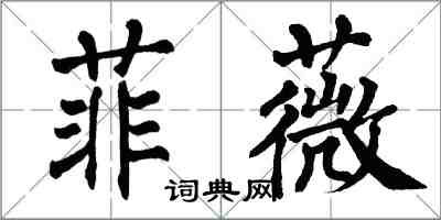 翁闓運菲薇楷書怎么寫