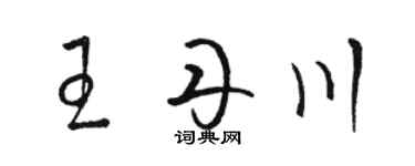 駱恆光王丹川草書個性簽名怎么寫