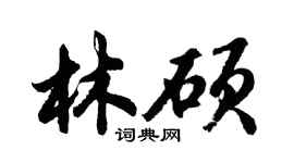 胡問遂林碩行書個性簽名怎么寫