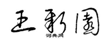 曾慶福王新園草書個性簽名怎么寫