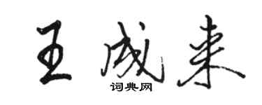 駱恆光王成來行書個性簽名怎么寫