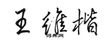 駱恆光王維楷行書個性簽名怎么寫