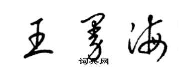 梁錦英王曼海草書個性簽名怎么寫