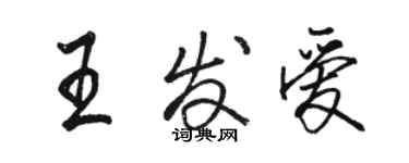 駱恆光王發愛行書個性簽名怎么寫