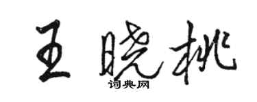 駱恆光王曉桃行書個性簽名怎么寫