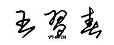 朱錫榮王習春草書個性簽名怎么寫