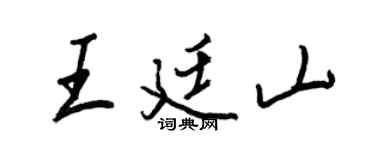 王正良王廷山行書個性簽名怎么寫