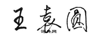 駱恆光王袁圓行書個性簽名怎么寫