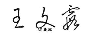 駱恆光王文霞草書個性簽名怎么寫