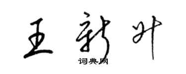 梁錦英王新升草書個性簽名怎么寫