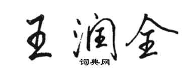 駱恆光王潤全行書個性簽名怎么寫