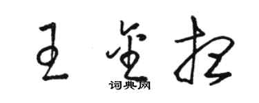 駱恆光王金想草書個性簽名怎么寫
