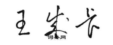 駱恆光王成卡草書個性簽名怎么寫