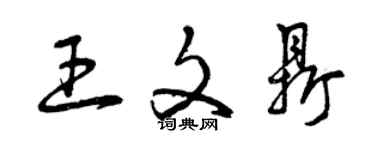 曾慶福王文鼎草書個性簽名怎么寫