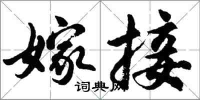 胡問遂嫁接行書怎么寫