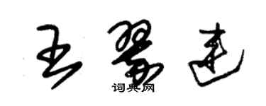 朱錫榮王翠連草書個性簽名怎么寫