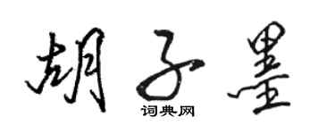 駱恆光鬍子墨行書個性簽名怎么寫