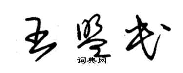 朱錫榮王盟民草書個性簽名怎么寫