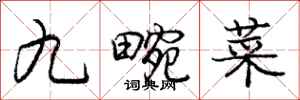 龐中華九畹菜行書怎么寫