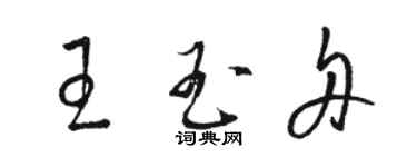 駱恆光王玉舟草書個性簽名怎么寫