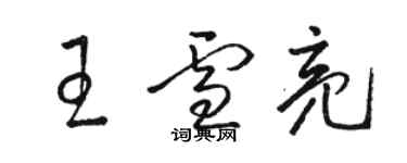 駱恆光王雪亮草書個性簽名怎么寫