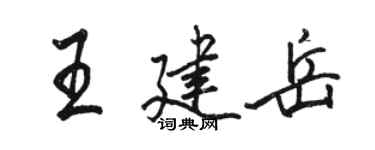 駱恆光王建岳行書個性簽名怎么寫