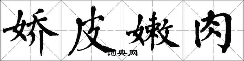 翁闓運嬌皮嫩肉楷書怎么寫