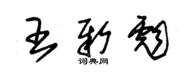 朱錫榮王新彪草書個性簽名怎么寫