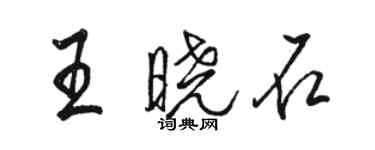 駱恆光王曉石行書個性簽名怎么寫