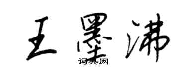 王正良王墨沸行書個性簽名怎么寫