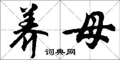 胡問遂養母行書怎么寫