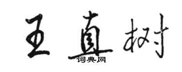 駱恆光王直樹行書個性簽名怎么寫