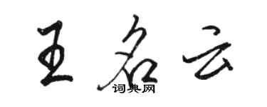駱恆光王名雲行書個性簽名怎么寫