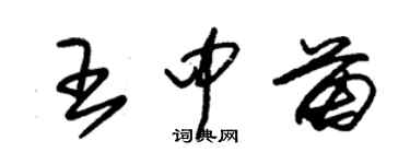 朱錫榮王中苗草書個性簽名怎么寫