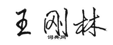 駱恆光王剛林行書個性簽名怎么寫
