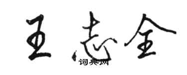 駱恆光王志全行書個性簽名怎么寫