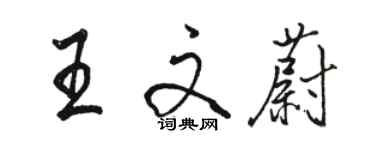 駱恆光王文蔚行書個性簽名怎么寫