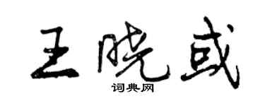 曾慶福王曉或行書個性簽名怎么寫