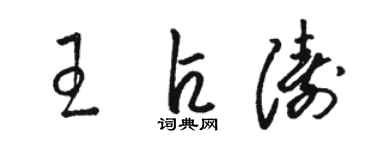 駱恆光王占濤草書個性簽名怎么寫