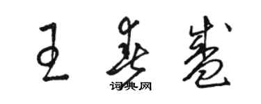 駱恆光王春盛草書個性簽名怎么寫