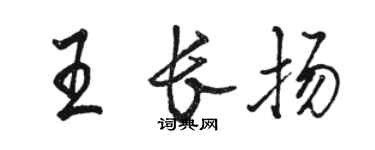 駱恆光王長揚行書個性簽名怎么寫