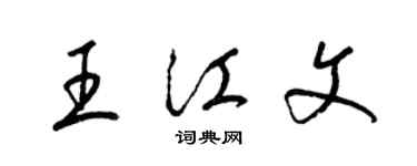 梁錦英王江文草書個性簽名怎么寫